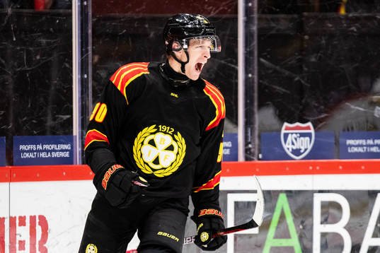 Brynäs David Sklenicka jublar