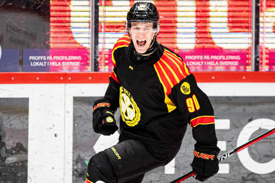Brynäs David Sklenicka jublar