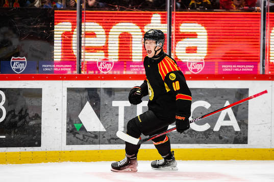 Brynäs David Sklenicka jublar