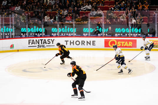 Brynäs David Sklenicka