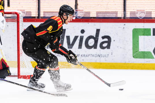 Brynäs David Sklenicka