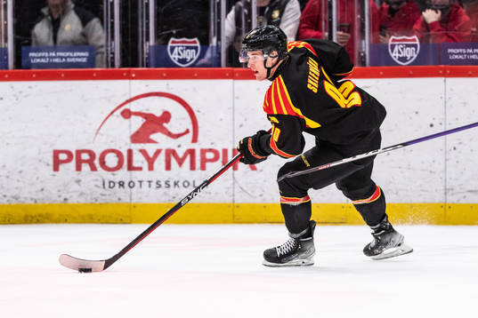 Brynäs David Sklenicka