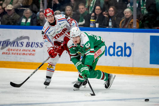 Timrås Olli Palola och Rögles William Wallinder