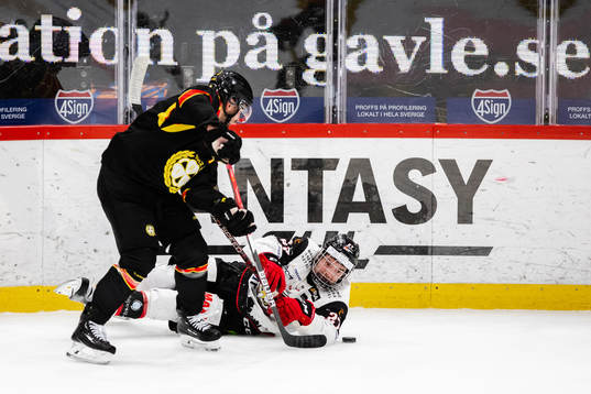 Brynäs Simon Bertilsson och Malmö Redhawks Ponthus