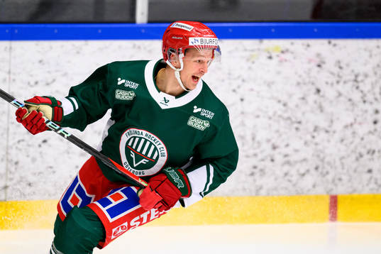 Max Friberg