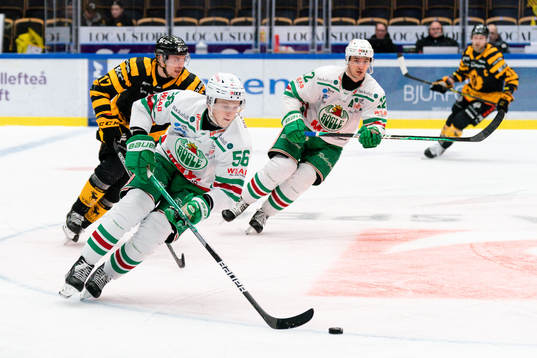 Rögles Vojtech Mozik