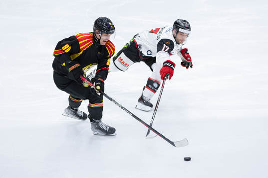 Brynäs David Sklenicka och Malmö Redhawks Pathrik
