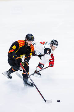 Brynäs David Sklenicka och Malmö Redhakws Pathrik