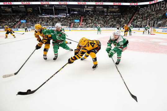 Skellefteås Tom Kühnhackl och Andreas Wingerli mot
