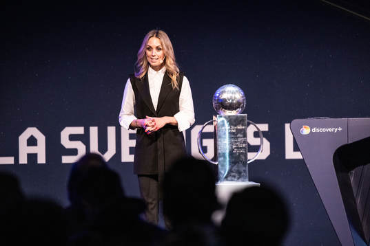 Karin Frick, Discovery