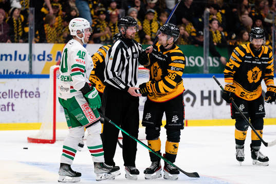 Rögles Oskar Stål Lyrenäs och Skellefteå AIKs Anton