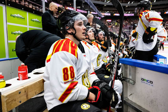 Brynäs Dmytro Timashov