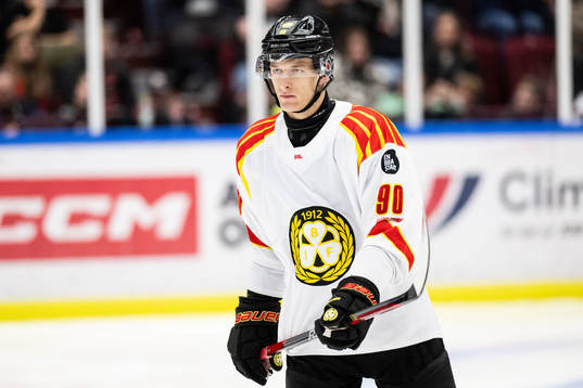 Brynäs David Sklenicka