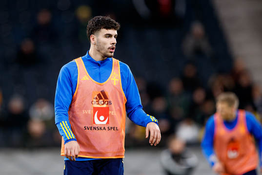 Edvin Kurtulus