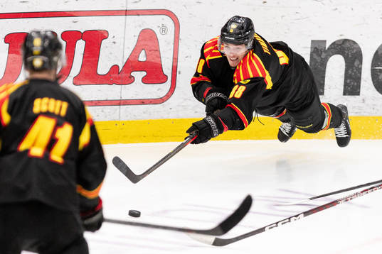Brynäs Dmytro Timashov