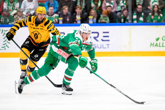 Skellefteås Joakim Lindström och William Wallinder