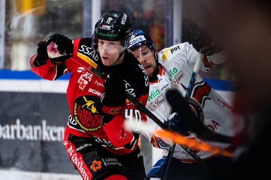 Luleås Tomi Sallinen