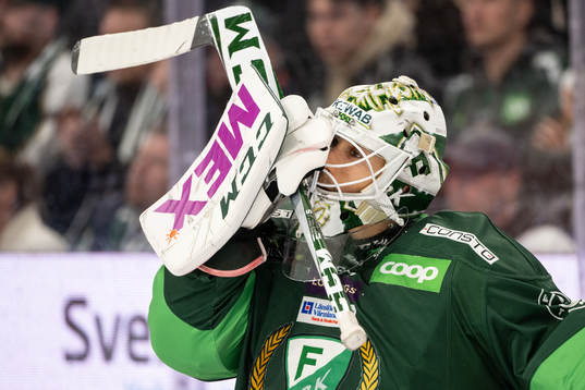 Färjestads målvakt Matthew Tomkins