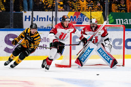 Skellefteås Andreas Wingerli och Örebros Marcus Hardegård