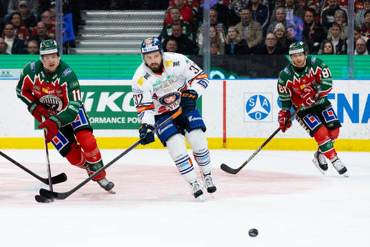 Frölundas Erik Borg och Växjös Lukas Bengtsson