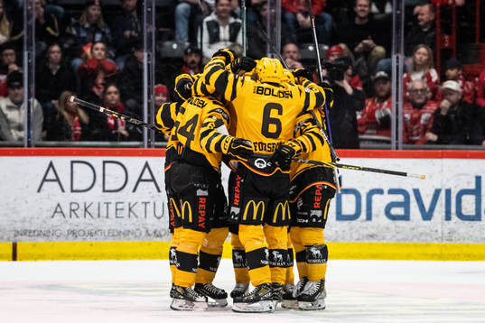 Skellefteås spelare jublar