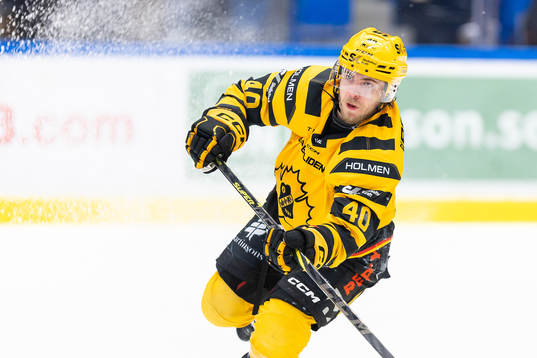 Skellefteås Andreas Wingerli