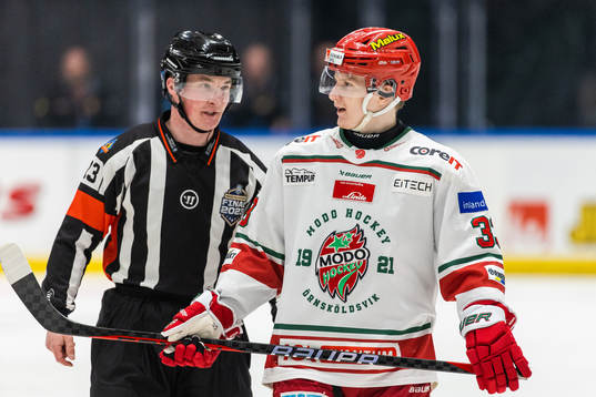 Modos Daniel Mannberg diskuterar med domare