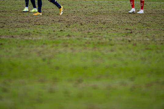 Quality of the grass