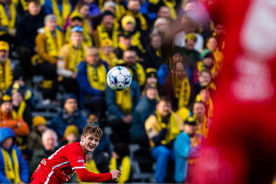 David Møller Wolfe of Brann