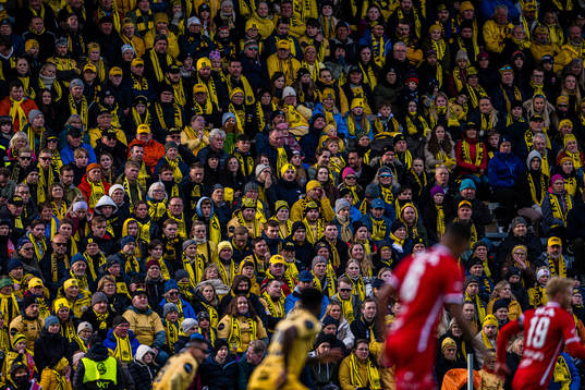 Spectators in the stands