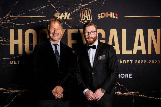 Manfred Aronsson och Robin Figren, Hockeyallsvenskan