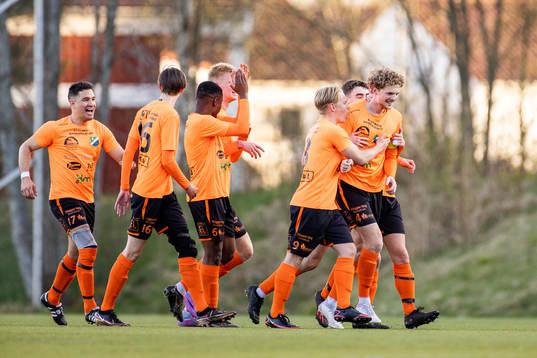 Älmeboda/LInneryds spelare jublar efter 0-1