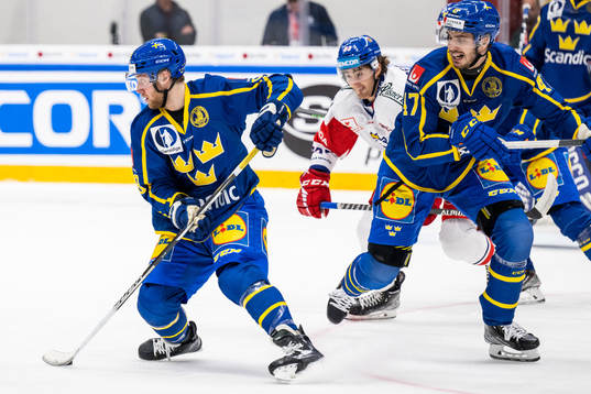 Alexander Nylander and Hardy Häman Aktell of Sweden