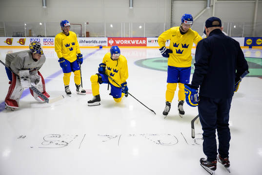 Goaltender Lars Johansson, Fabian Zetterlund, Linus