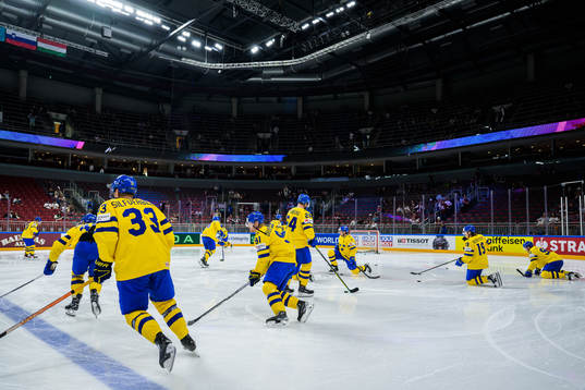 Players of Sweden