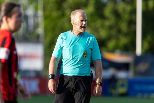 Domare Niklas Olsson