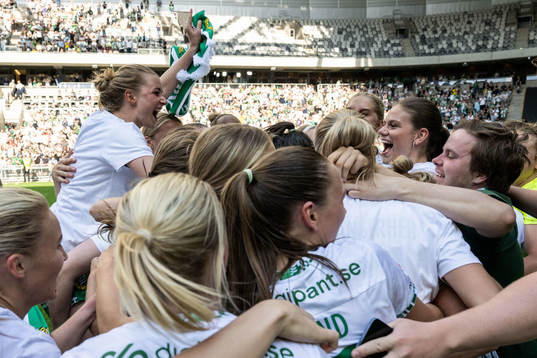 Hammarbys spelare jublar vid slutsignalen