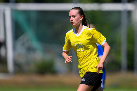 s riksläger för F15