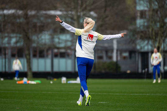 Amanda Ilestedt of the Swedish women's national football