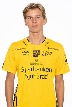 Folke von Schedvin