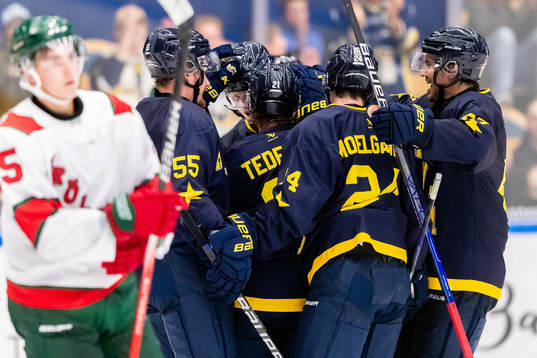 HV71s Mattias Tedenby jublar med lagkamrater