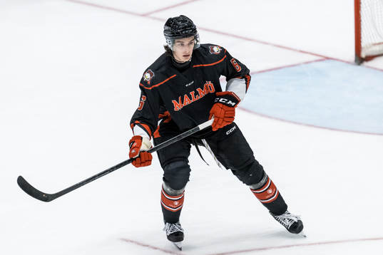 Malmö Redhawks Dominik Badinka