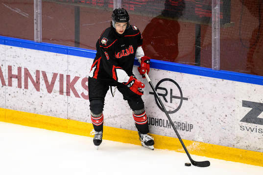 Malmö Redhawks Dominik Badinka