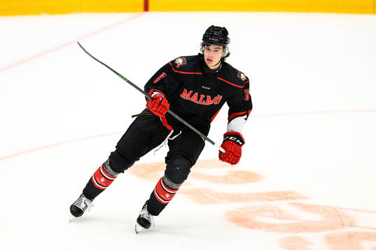 Malmö Redhawks Dominik Badinka