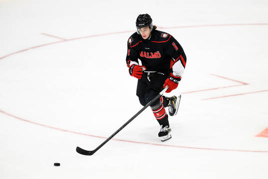 Malmö Redhawks Dominik Badinka