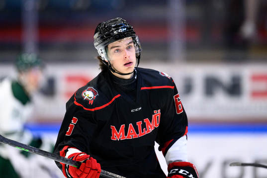 Malmö Redhawks Dominik Badinka