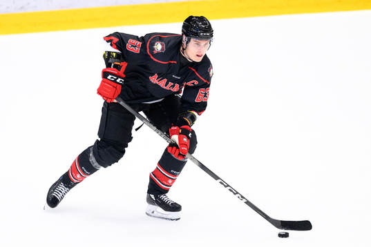 Malmö Redhawks Fredrik Händemark