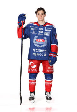 Oskarshamns Dalibor Dvorskyposerar för ett porträtt