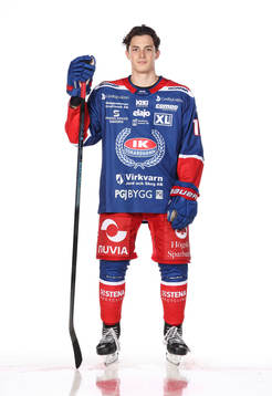 Oskarshamns Dalibor Dvorskyposerar för ett porträtt