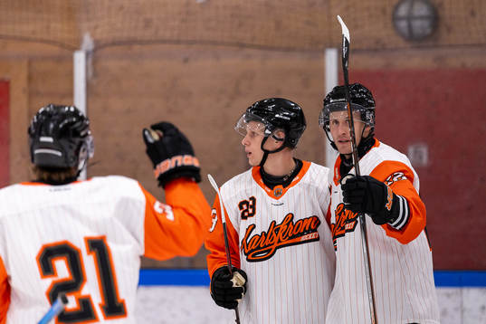 Karlskronas Alexander Bergström jublar